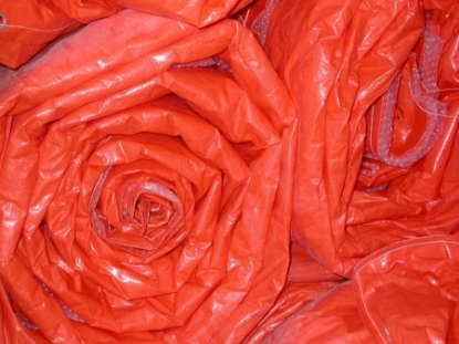 Afbeelding - 1483372-jpg